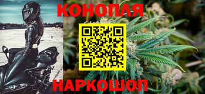 a pvp Дубна
