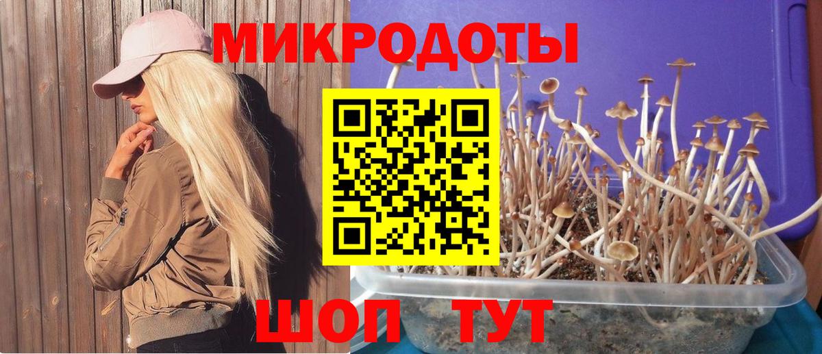 Галлюциногенные грибы Psilocybine cubensis  Вход с VPN  Менделеевск  Псилоцибиновые грибы ЛСД 