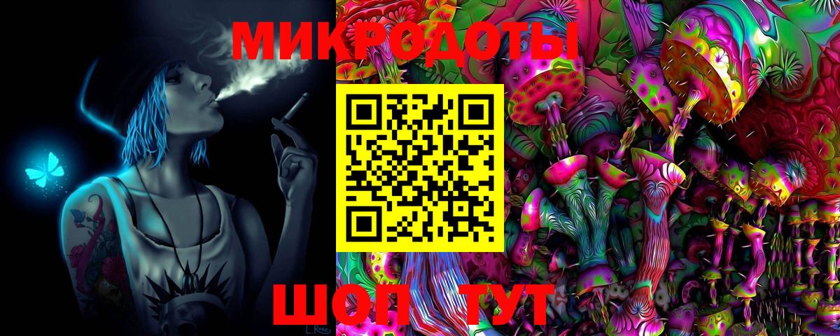 Псилоцибиновые грибы Psilocybe Менделеевск